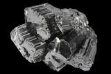 Terminated Black Tourmaline (Schorl) Crystal Cluster - Madagascar #174147-1